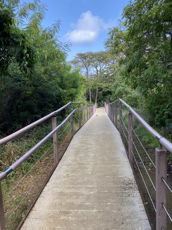 Path Installation detail